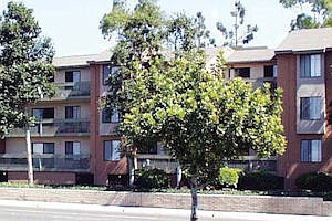 Photo detail