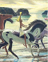 Photo detail