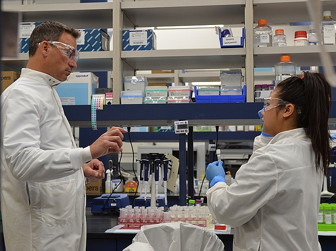 Companies Push Production Of Coronavirus Tests San Diego