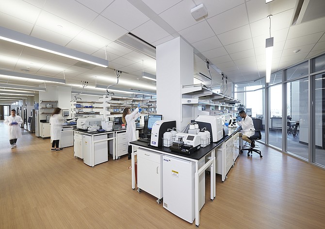 L.A.’s growth as a bioscience hub has led to new incubators, such as the BioLabs facility at the Lundquist Institute.