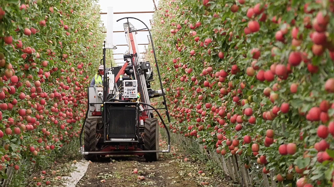 Abundant Robots is working on making apple-picking machines cost-effective.